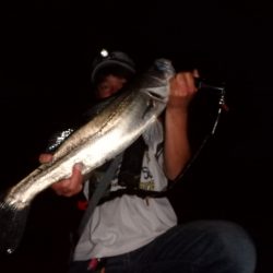 バチ抜けパターン！