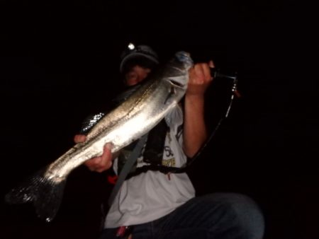 バチ抜けパターン！