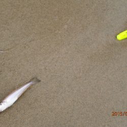 ファミリーちょい投げ