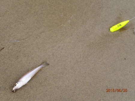 ファミリーちょい投げ