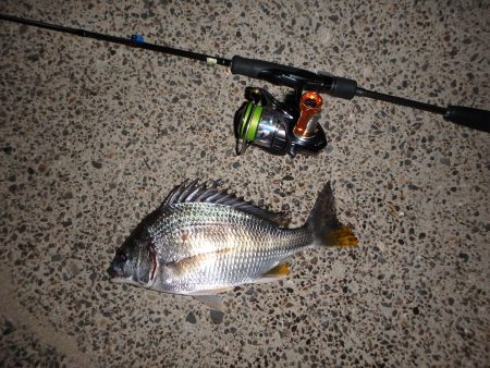 癒やしのキビレゲーム