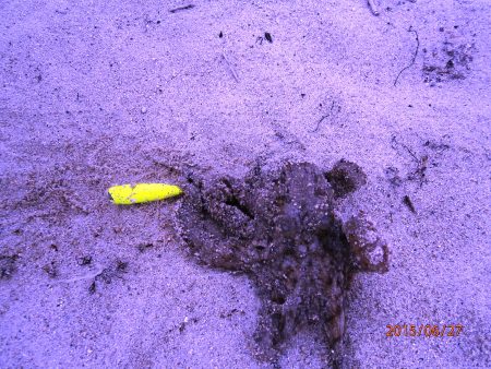 ファミリィーチョイ投げ 2