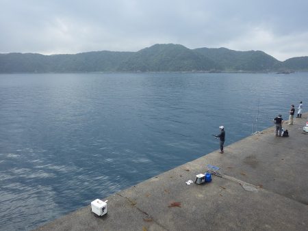 沖一文字でシイラ