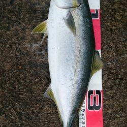 スローなフリーフォール