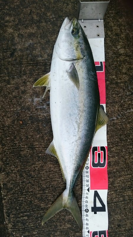 スローなフリーフォール