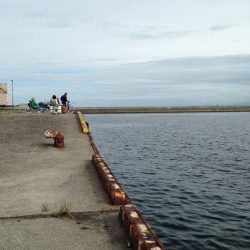 5時からサビキ釣り！