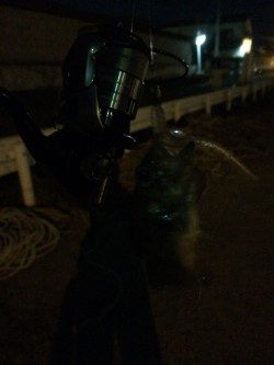 30分間だけのメバリング