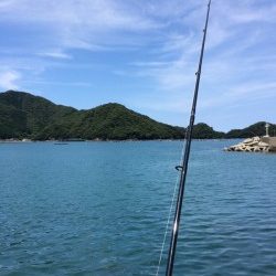 朝からキス釣り