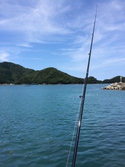 朝からキス釣り