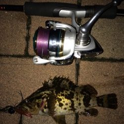 バチ抜けパターン