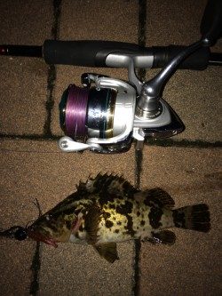 バチ抜けパターン