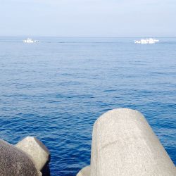 ショアプラッキング