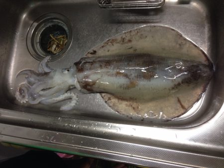 小島で2キロオバー‼️