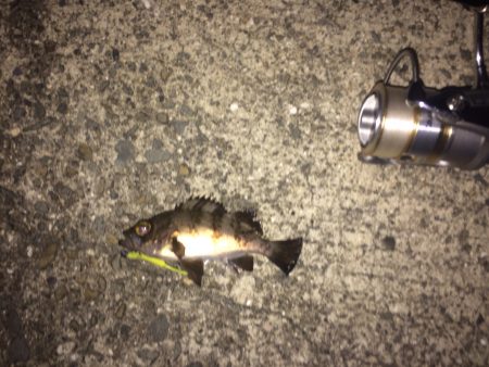 ライトゲームに行って来ました！