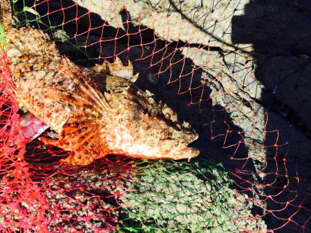 久しぶりの一杯