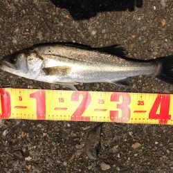 調子いいかと思いきや…