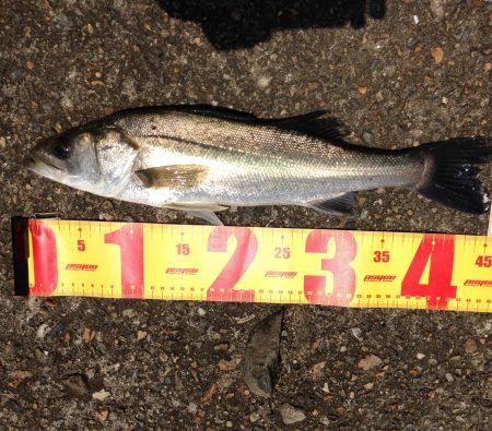 調子いいかと思いきや…