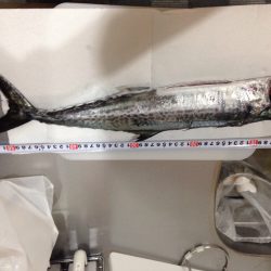 期待はずれの釣果…