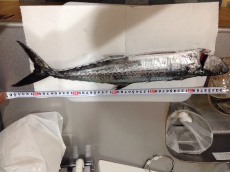 期待はずれの釣果…