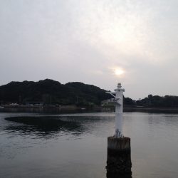 初フカセ＝ダメダメ