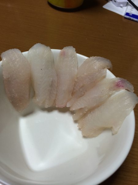 舞子で大サバ狙い