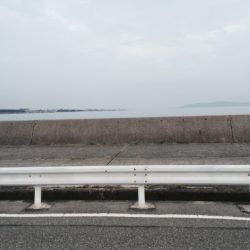 高打率なガッシー