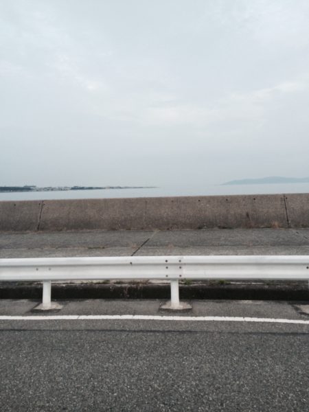 高打率なガッシー