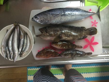 田辺と白浜周辺をランガン