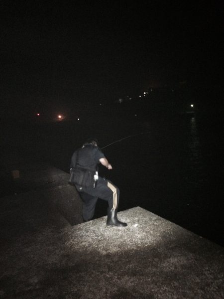 青物ではなく赤者