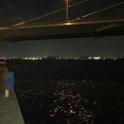 うっぷん晴らし