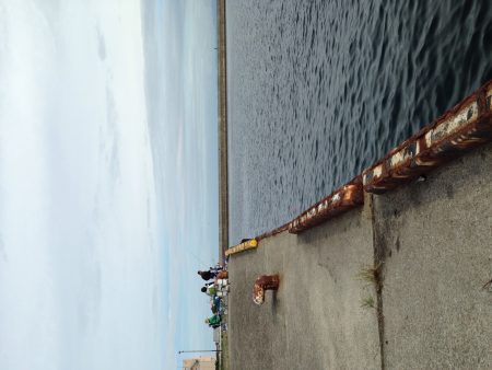 5時からサビキ釣り！