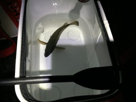 好調は長く続きません…