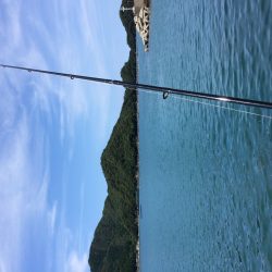 朝からキス釣り