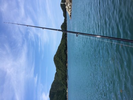 朝からキス釣り