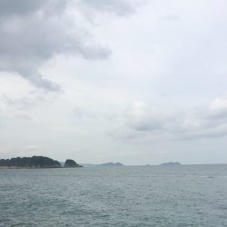 キロUPきた〜！