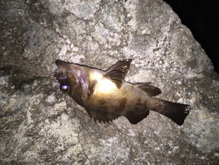 寒気フィッシング