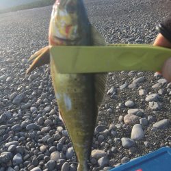 煙樹ヶ浜でショアジギング