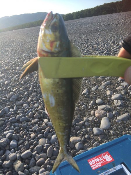 煙樹ヶ浜でショアジギング