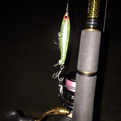 フラペンでクロダイ♪