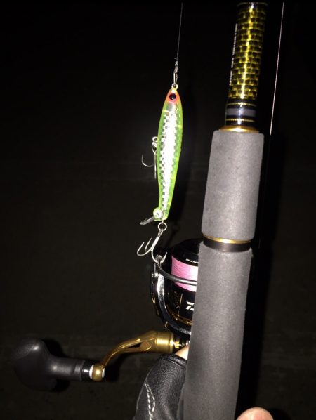 フラペンでクロダイ♪