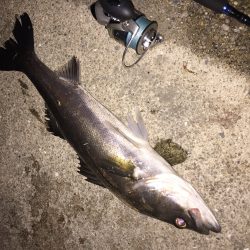 下げ止まりまで90分