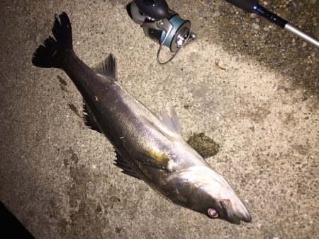 下げ止まりまで90分