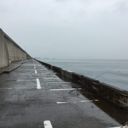 本命は釣れず…