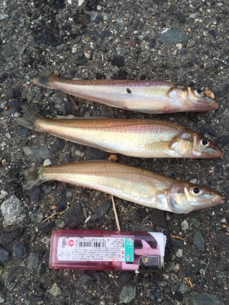 キス⁈開幕か⁈