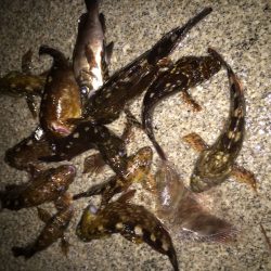 週末のおきまり