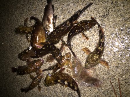 週末のおきまり