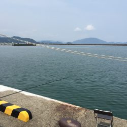 小浜港のサビキ釣り