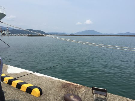 小浜港のサビキ釣り
