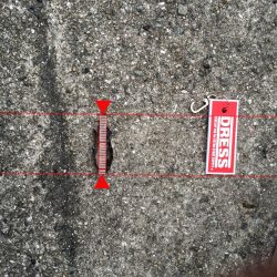 タコ狙いでの釣行でしたが、