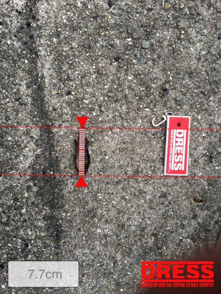 タコ狙いでの釣行でしたが、